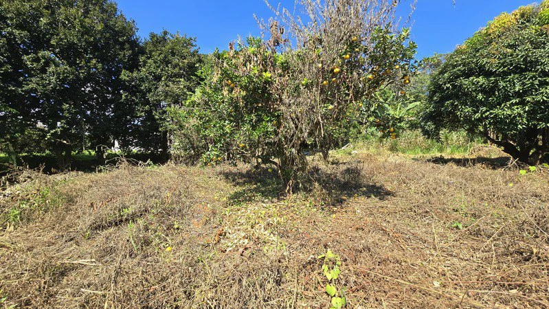 Home Construction Site For Sale in Barrio El Hoyon - Gallery image 13