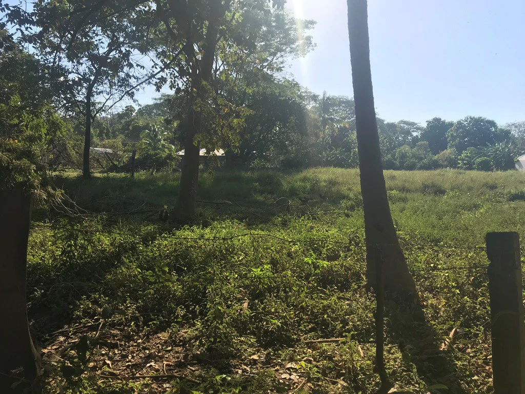 Large beach property in Playas del Coco - Gallery image 10