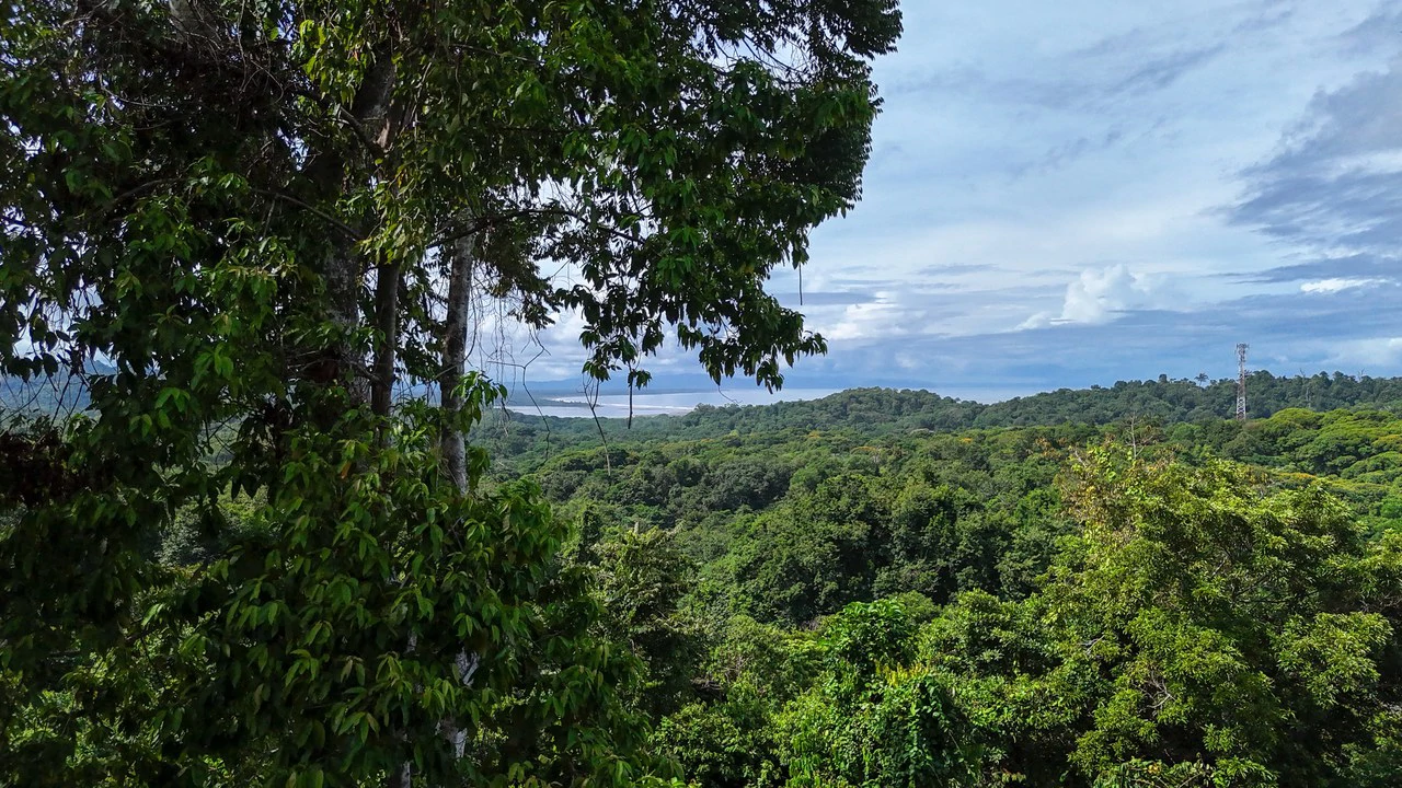 Spectacular Ocean view on 7.7 acres: Mountain Home Construction Site For Sale in Bahía Ballena - Gallery image 2