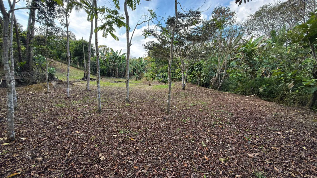 Home Construction Site For Sale in Cajón - Gallery image 10