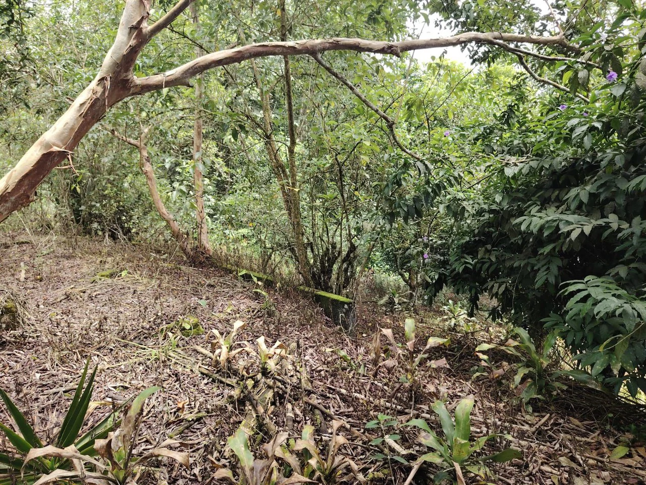 Home Construction Site For Sale in General Viejo - Gallery image 6