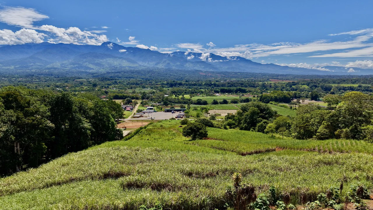 Development Parcel For Sale in Daniel Flores - Gallery image 16