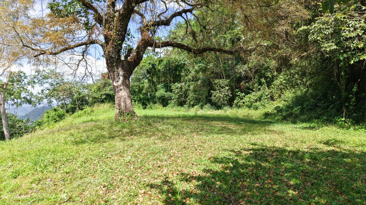 Ocean View Lot for Sale Coyote Beach Guanacaste Costa Rica - Gallery image 6