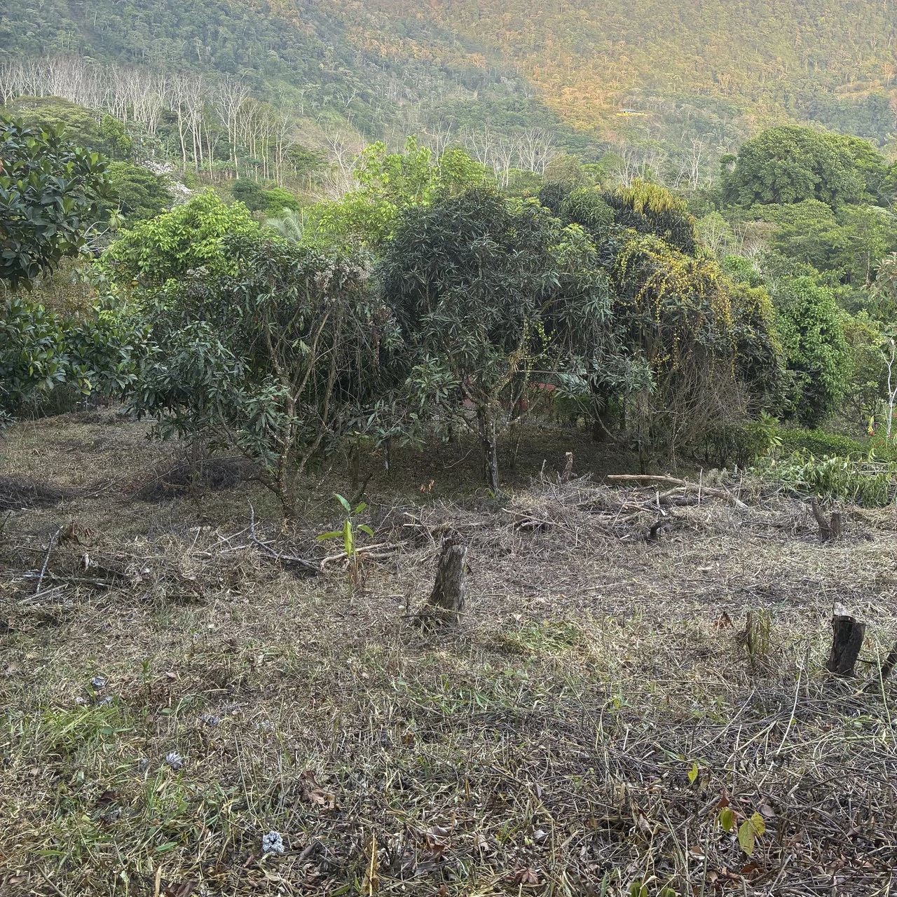 Ocean & Mountain View Lot with Multiple Building Sites-20 Minutes from Uvita - Gallery image 6