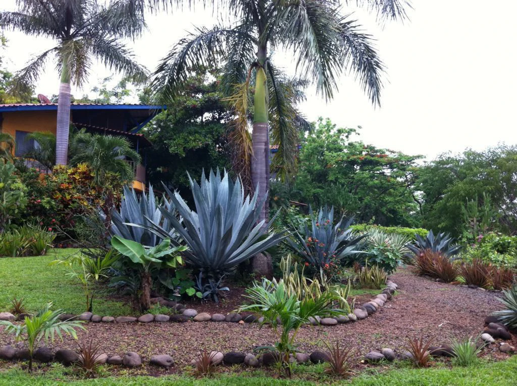 Estate in Esparza with 3 Homes, Pool & Tourism Potential – Perfect for Investment or Vacation Living! - Gallery image 9