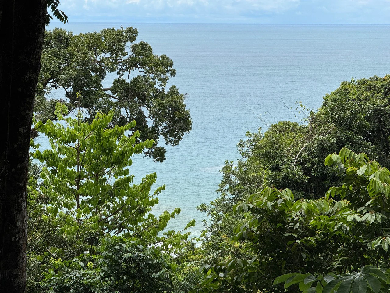 0.25 ACRES – Affordable Ocean View Property With Easy Access And Legal ASADA Water!!! - Gallery image 3