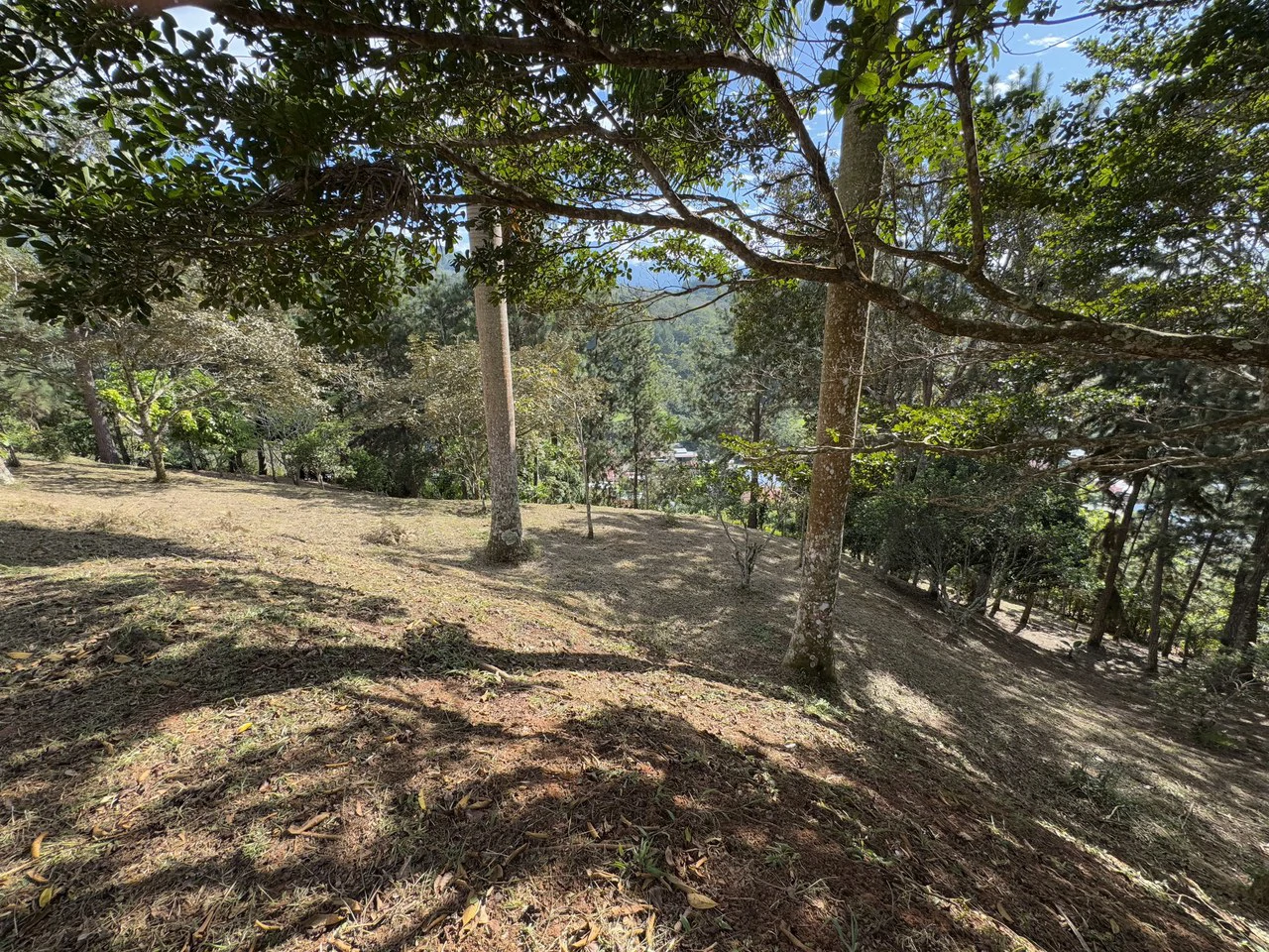 Stunning 2.4 Acre Property in Quebradas San Isidro del General - Gallery image 21
