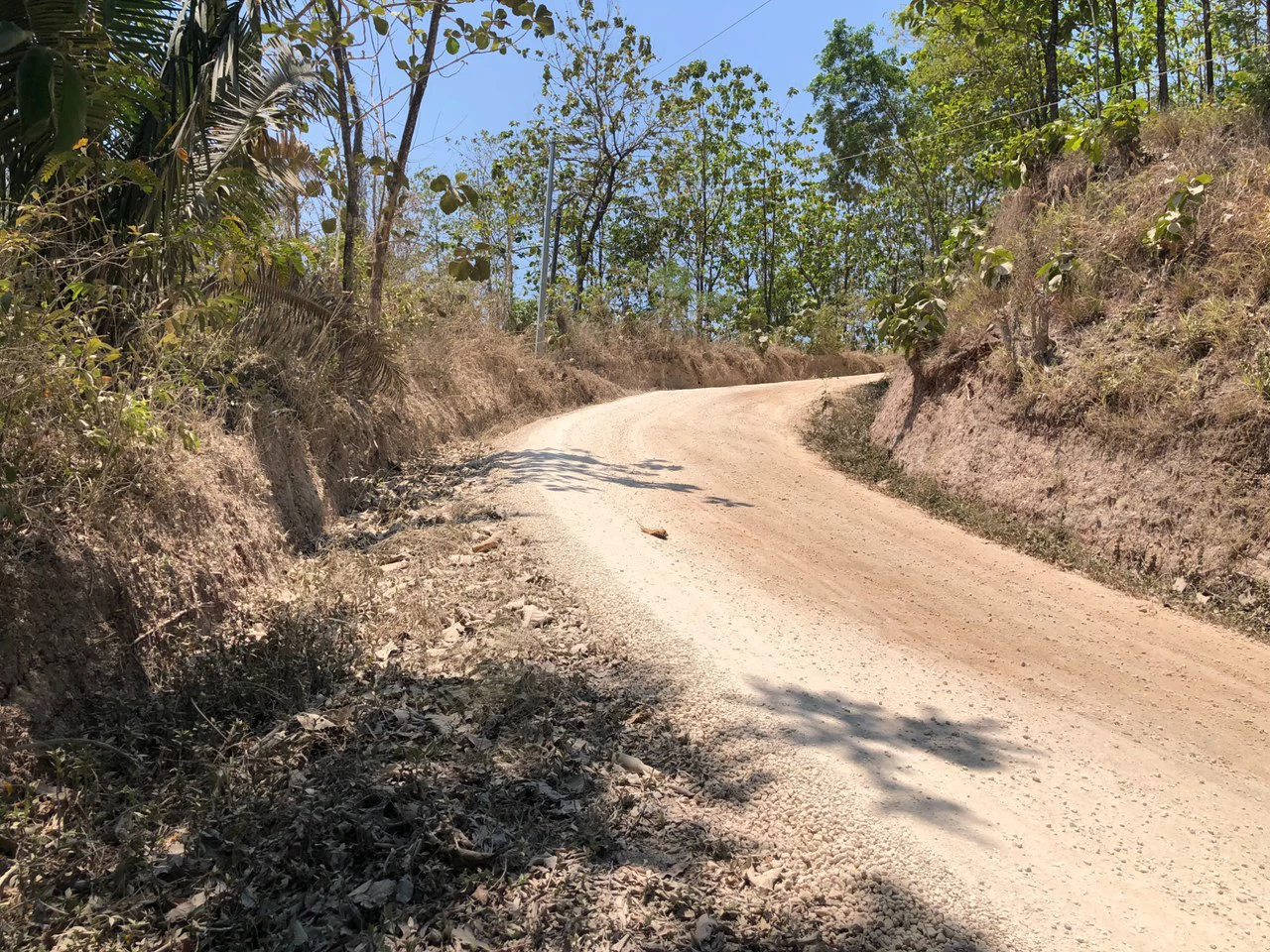 Prime Real Estate Opportunity, Lot with Creek Border in Santo Domingo hills - Gallery image 11