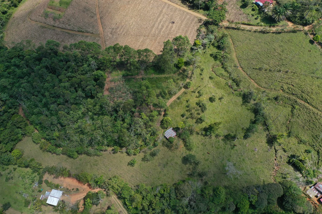 12.5 Acre Riverfront Mountain Estate with Valley and Chirripó Views - Gallery image 18