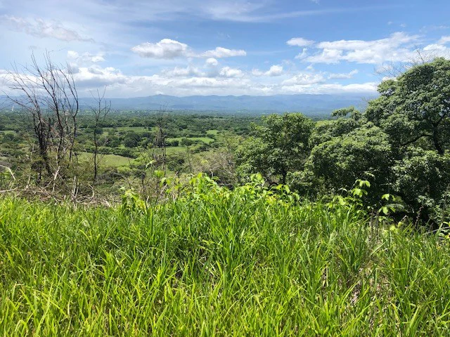 Amazing 50% discount for Huge ocean-view farm for sale surrounded by soft rolling hills and pristine nature - Gallery image 6