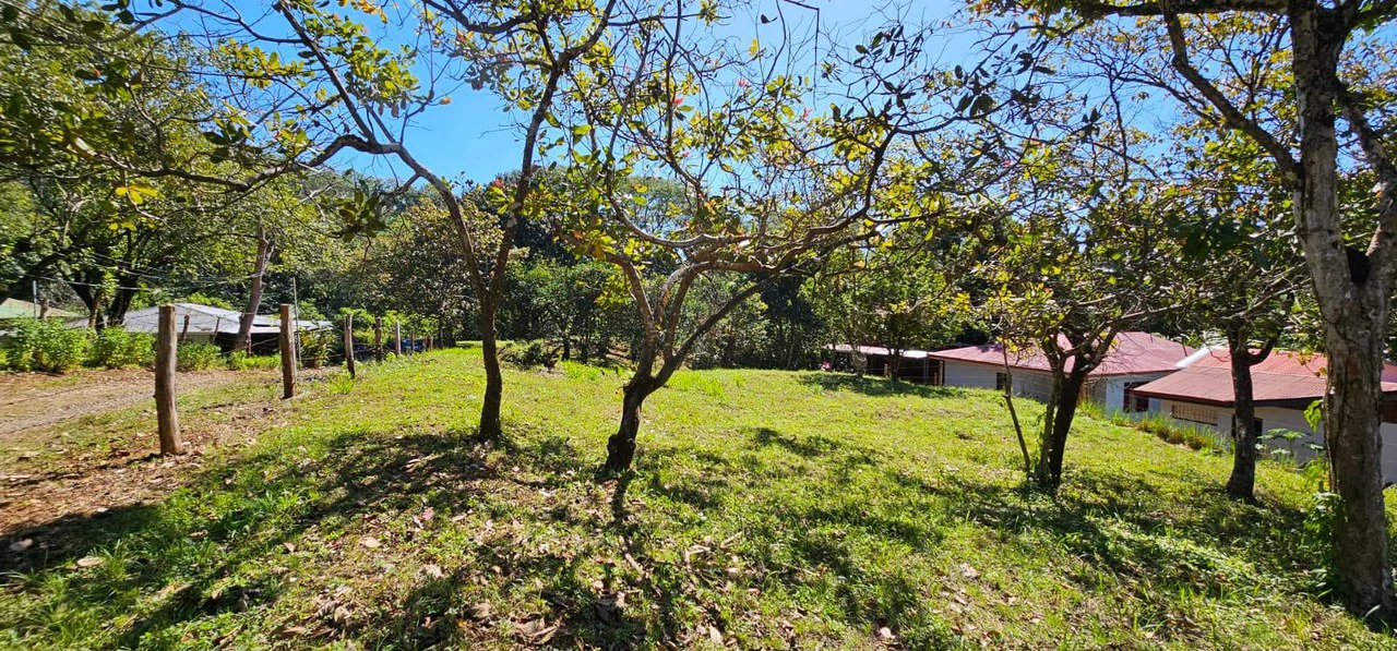 Nature's Gateway: Smart Choice Mixed-Use Property Near Carrillo Beach: Countryside Home Construction Site For Sale in Playa Carrillo - Gallery image 10