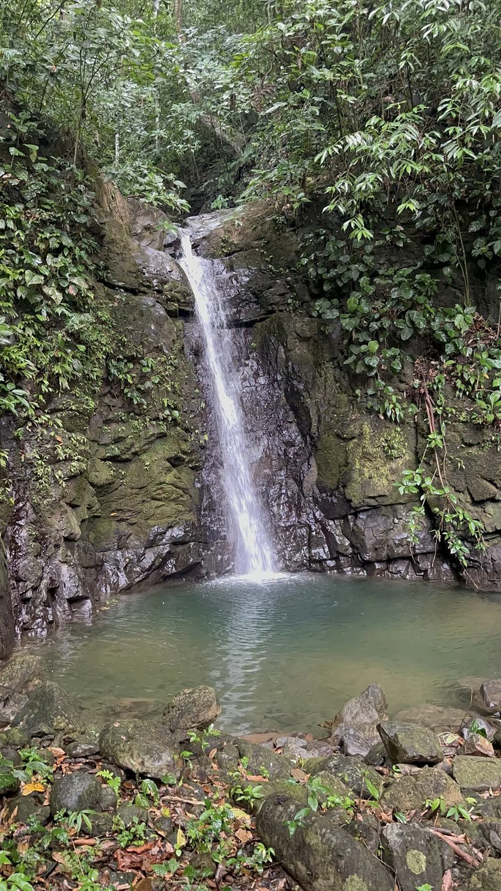 Ocean View Estate Lot with Private Waterfall – Uvita - Gallery image 27