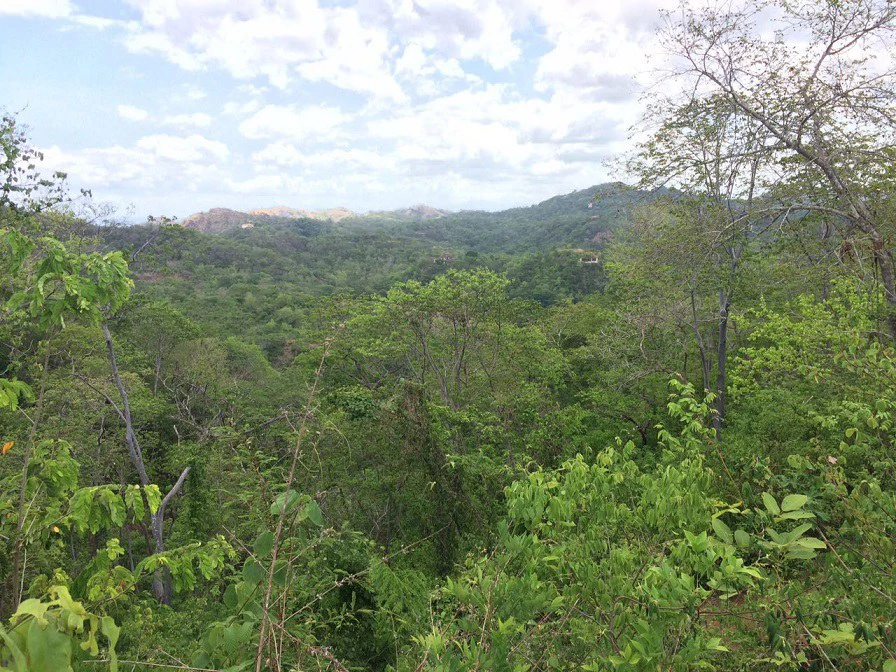 GRAN OPORTUNIDAD: GREAT OPPORTUNITY. Property of 48.3 hectares adjacent to the Hotel Riu - Gallery image 6