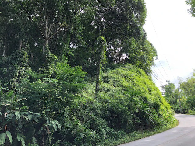 6.5 ACRES – Space To Grow, Build & Thrive, Close To The Beach & Commercial Potential Road Frontage!!!!!: Mountain and Countryside Development Parcel For Sale in Platanillo de Dominical - Gallery image 4