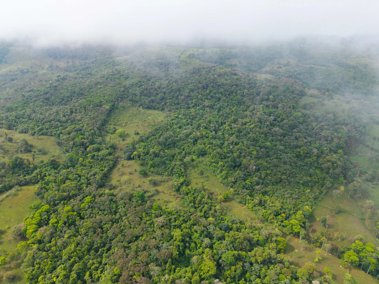 Finca Las Zompopas-Río Celeste: 113-Acre Biodiverse Property in Bijagua, Ideal for Eco-Tourism, Private Retreats, or Sustainable Development - Gallery image 13