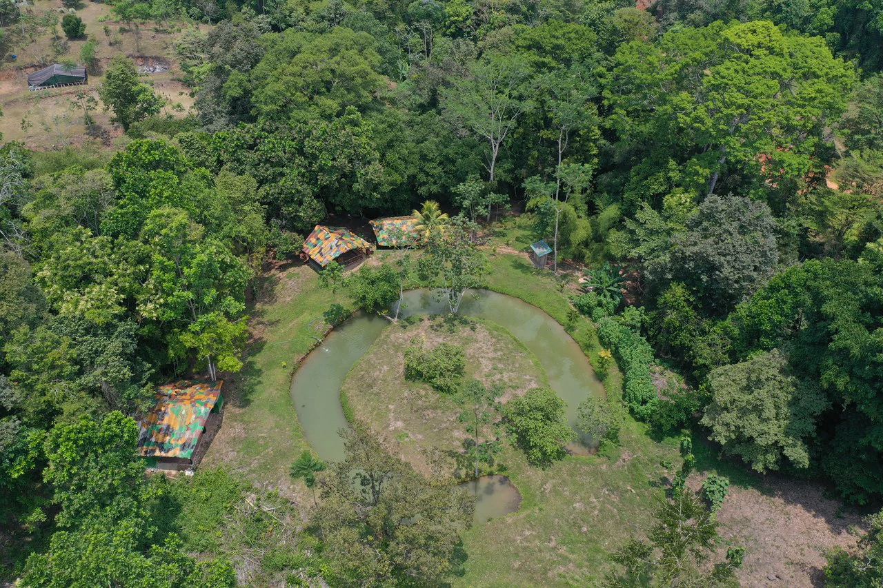 50 Acre Waterfall and River Paradise Above Dominical - Gallery image 6