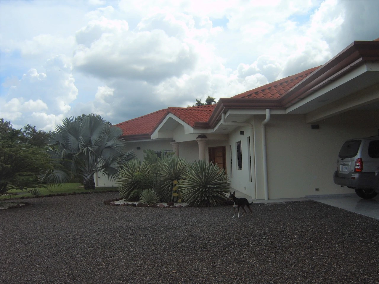 Casa Cañas Dulces C103: Countryside House For Sale in Cañas Dulces - Gallery image 3