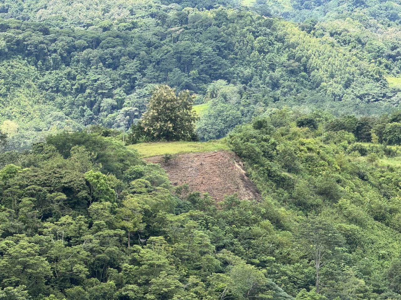 137 Acre Ocean View Farm with Riverfront in Southern Costa Rica - Gallery image 24