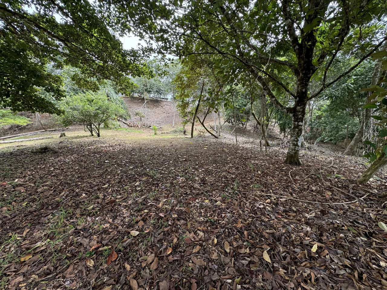 Diamante Waterfall View Land in Dominical 2.9 Acres - Gallery image 17