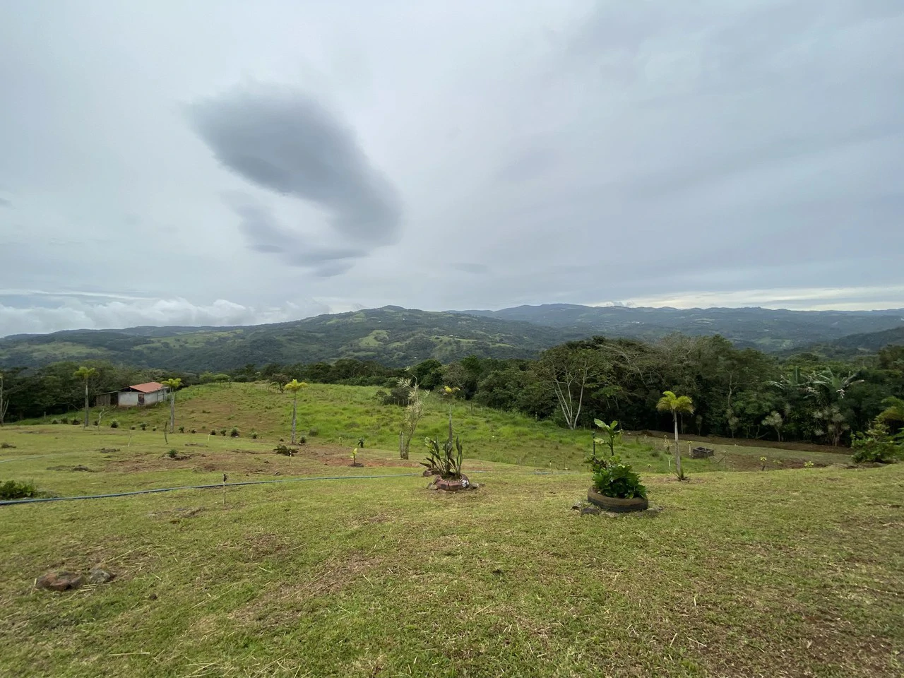 Countryside House For Sale in Alfaro - Gallery image 20