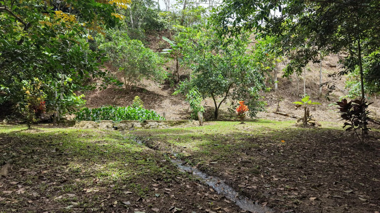 Home Construction Site For Sale in Daniel Flores - photo 12