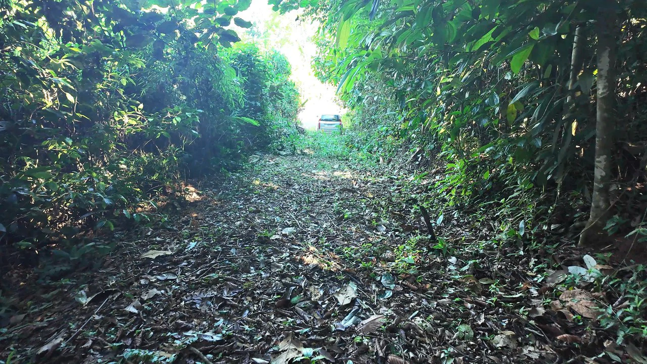 LOTE EN PEÑAS BLANCAS: Mountain Home Construction Site For Sale in El General - Gallery image 3
