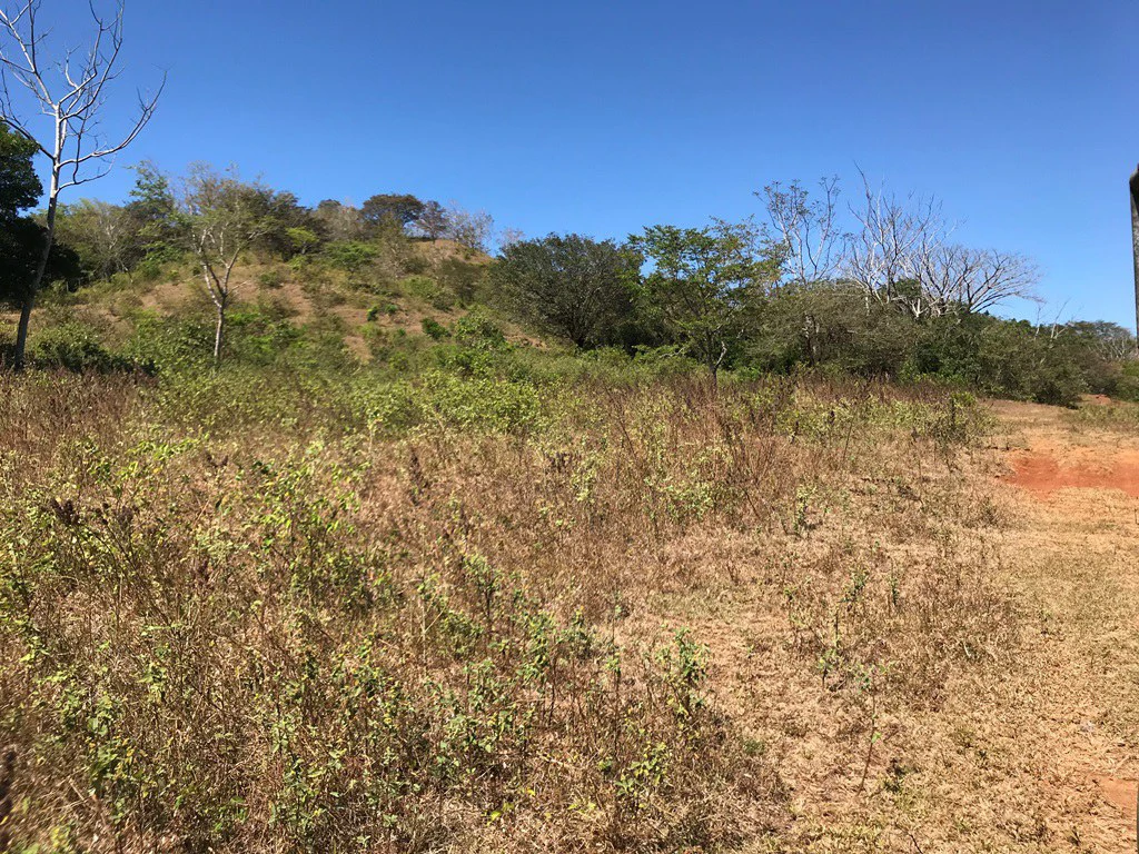Ocean view farm for sale in the mountains of San Juanillo - Gallery image 9
