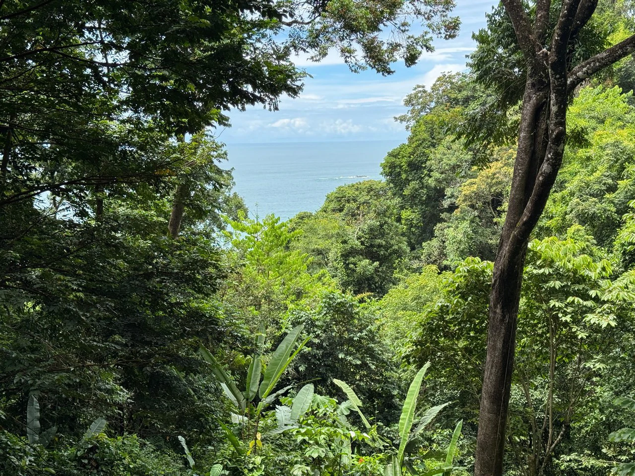 0.25 ACRES – Affordable Ocean View Property With Easy Access And Legal ASADA Water!!! - Gallery image 2