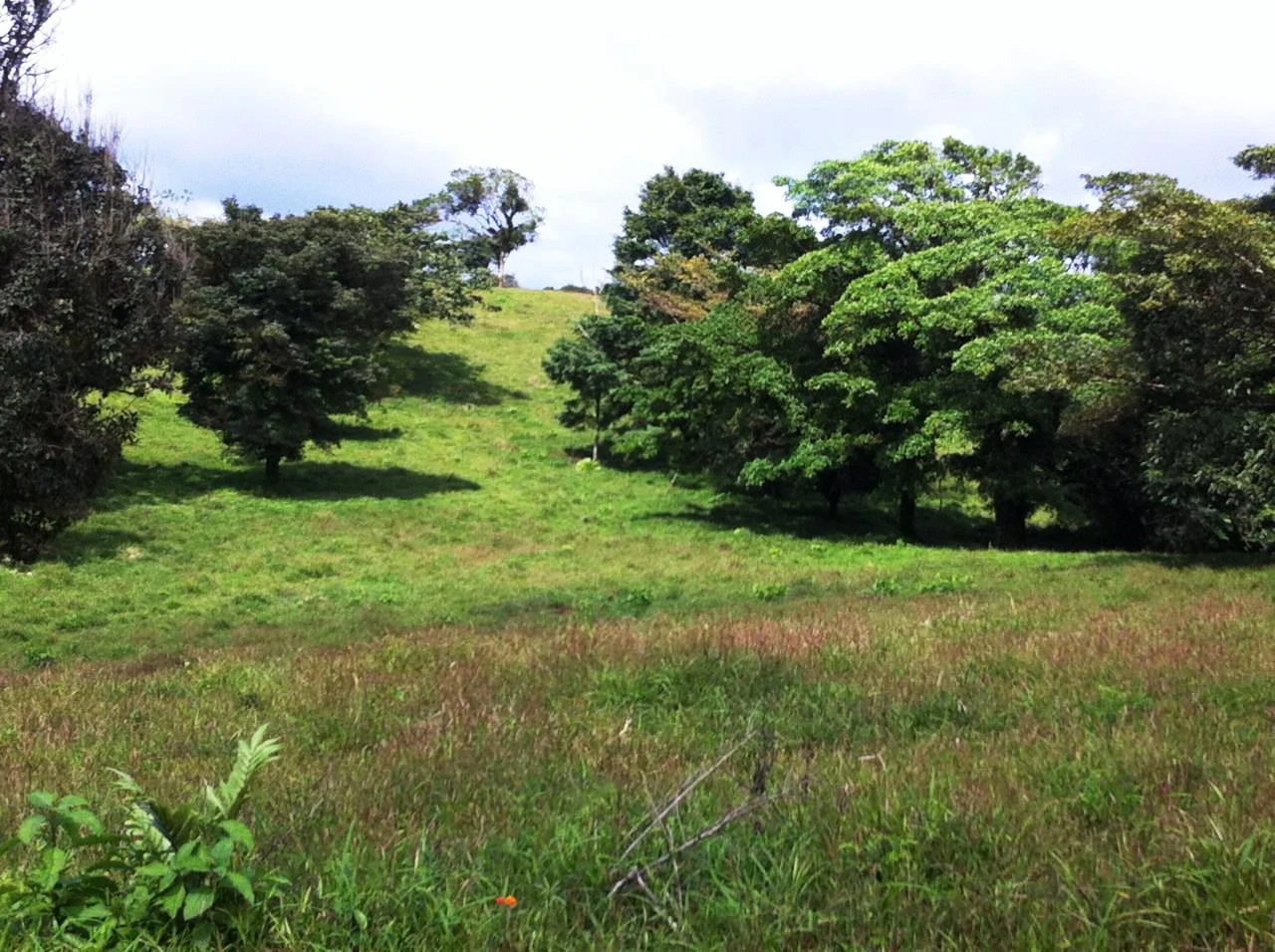 RINCON DEL PATO -  Hobby Farmers delight - Gallery image 4