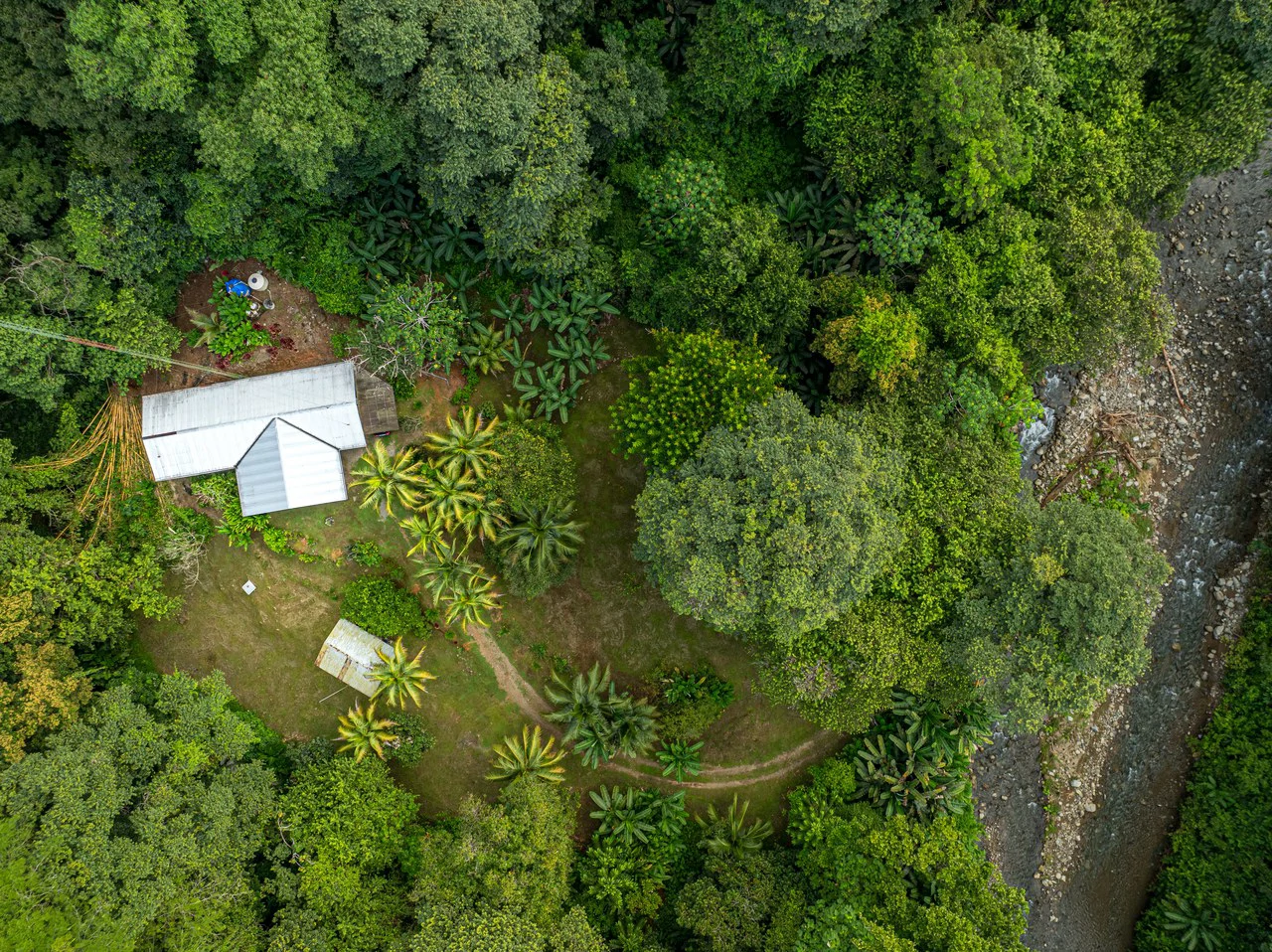 Tropical Hideaway – 7 Acres of Secluded Riverfront with a 3-Bedroom Home: Mountain House For Sale in Bahía Ballena - Gallery image 31