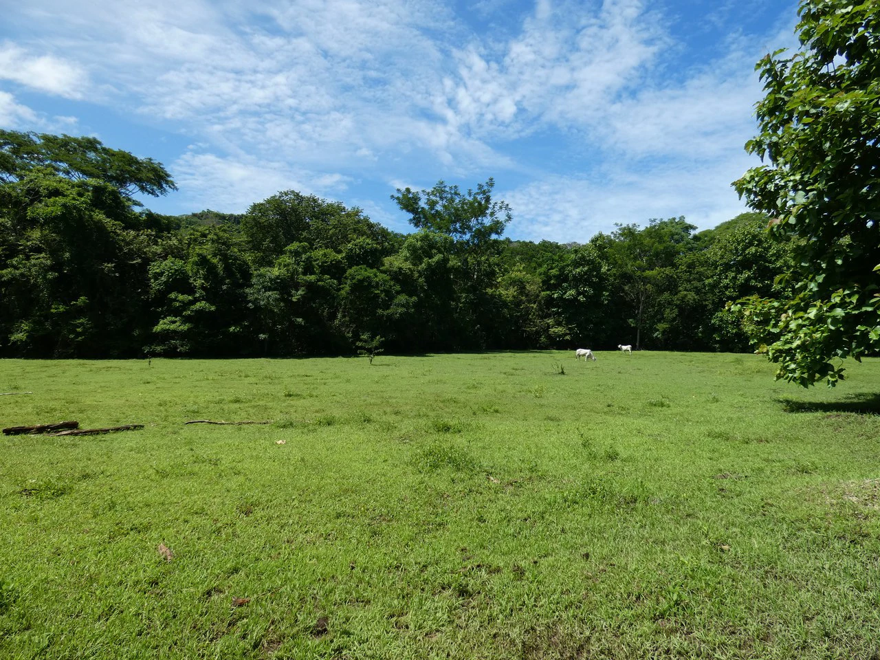 Samara beach property project with own natural reserve and ocean views - Gallery image 13