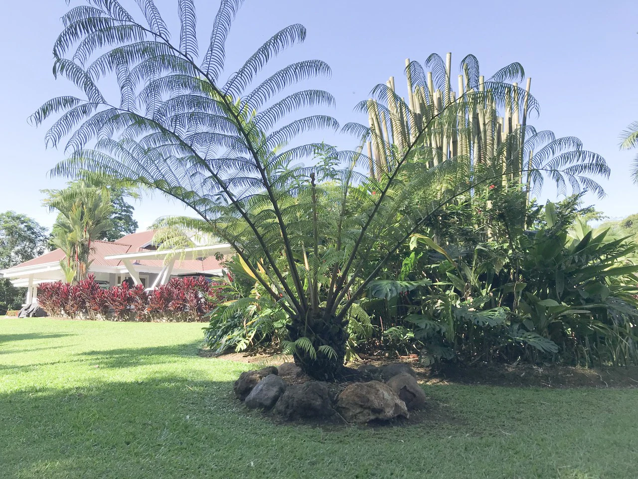 Beautiful Home for Sale with its own Natural Paradise - Gallery image 23