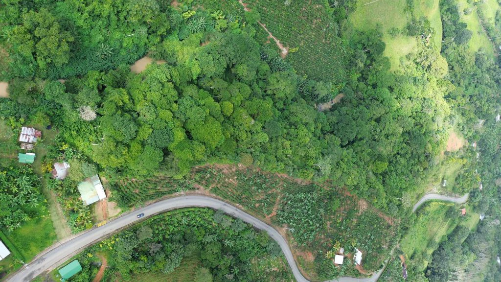 Mountain and Countryside Agricultural Land For Sale in Platanares - photo 17