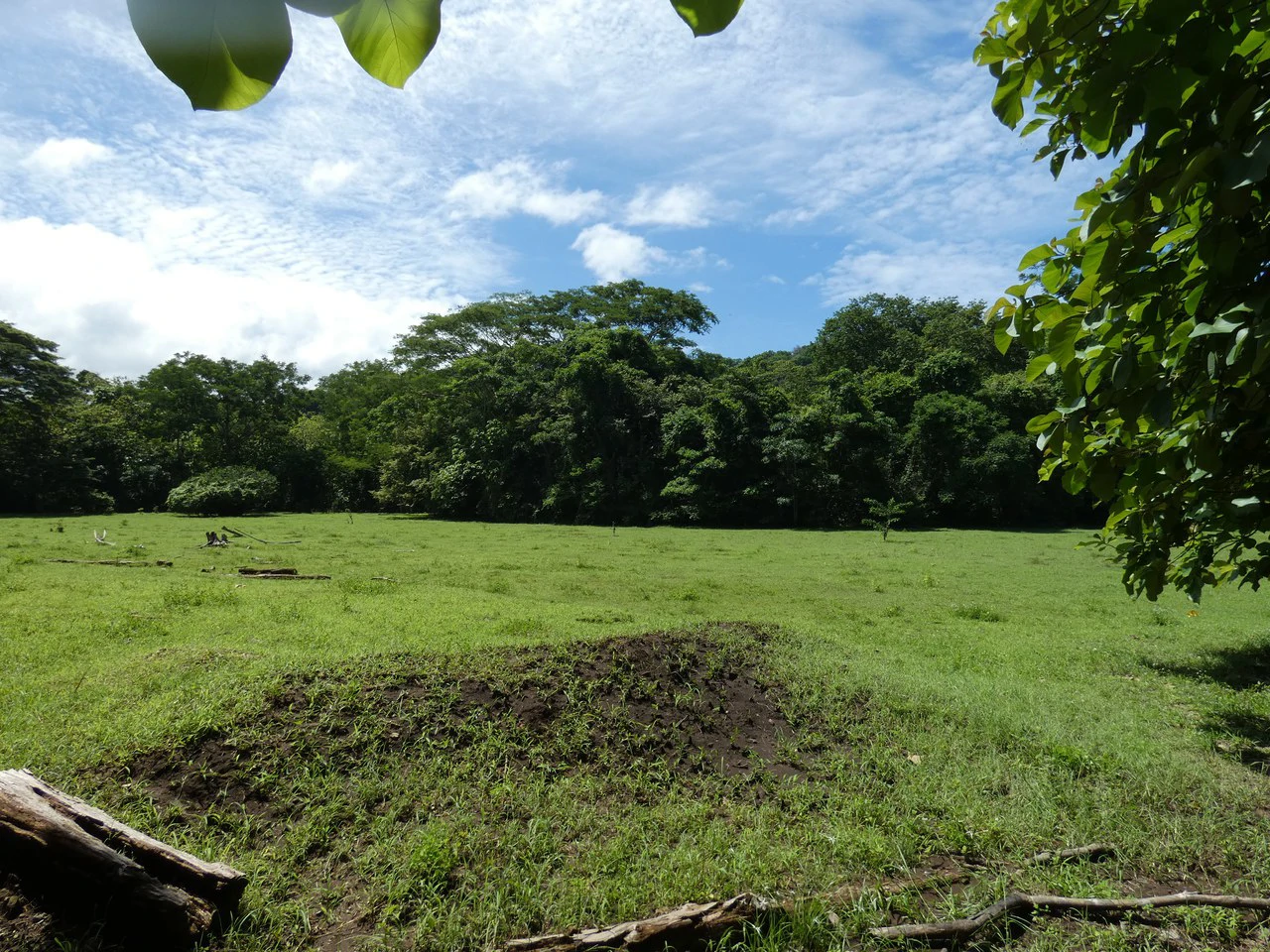 Samara beach property project with own natural reserve and ocean views - Gallery image 9