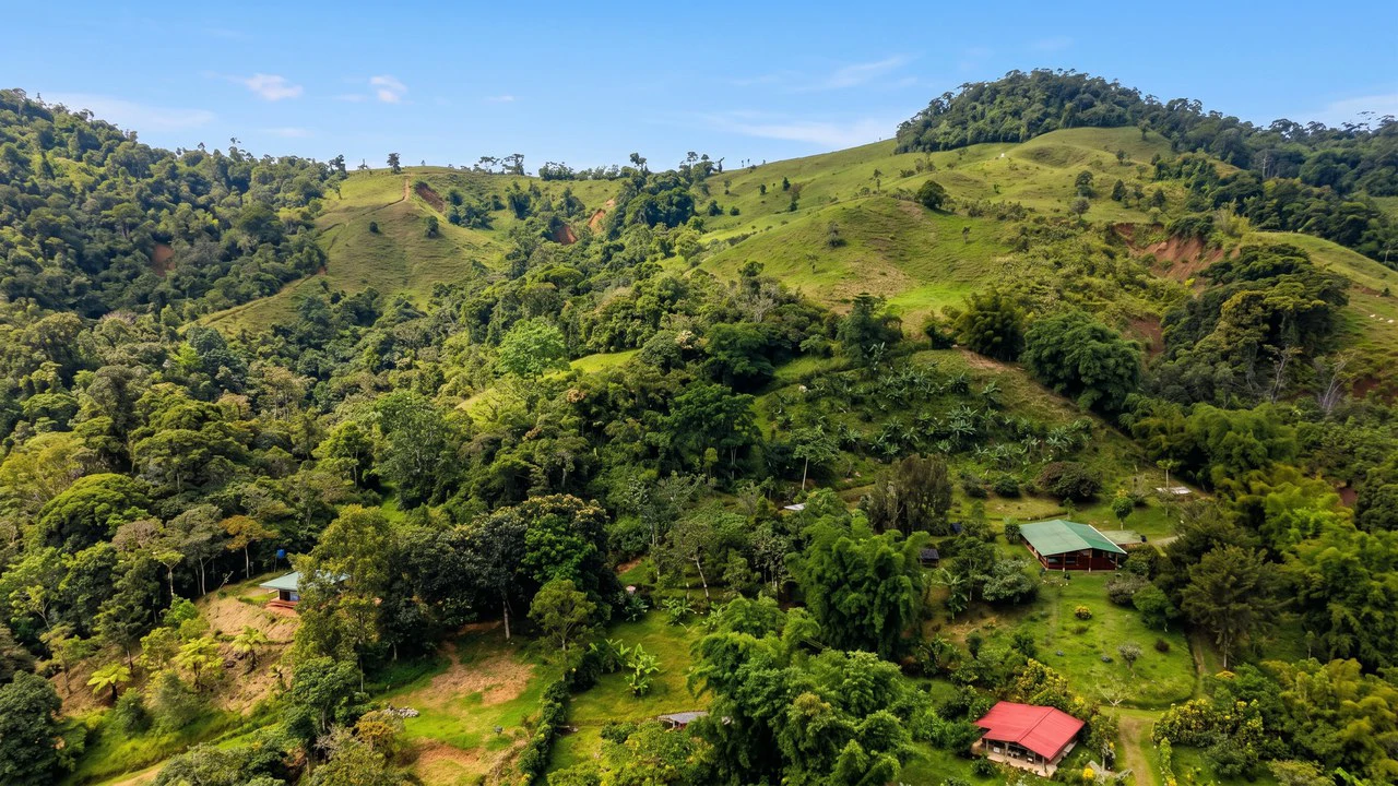 Mountain House For Sale in San Isidro del General - photo 15