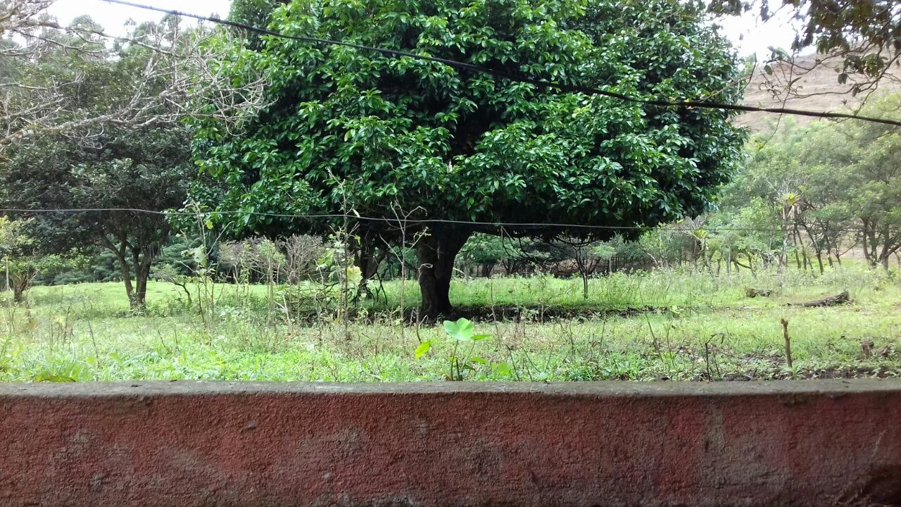 Big property with small house in Bijagua - Gallery image 7