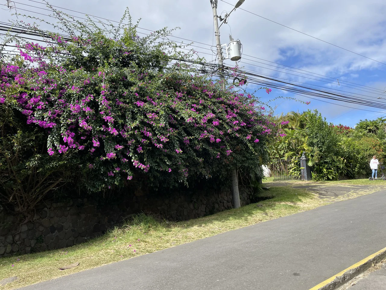 Location Location Location. Coronado, San José, Costa Rica - Gallery image 8