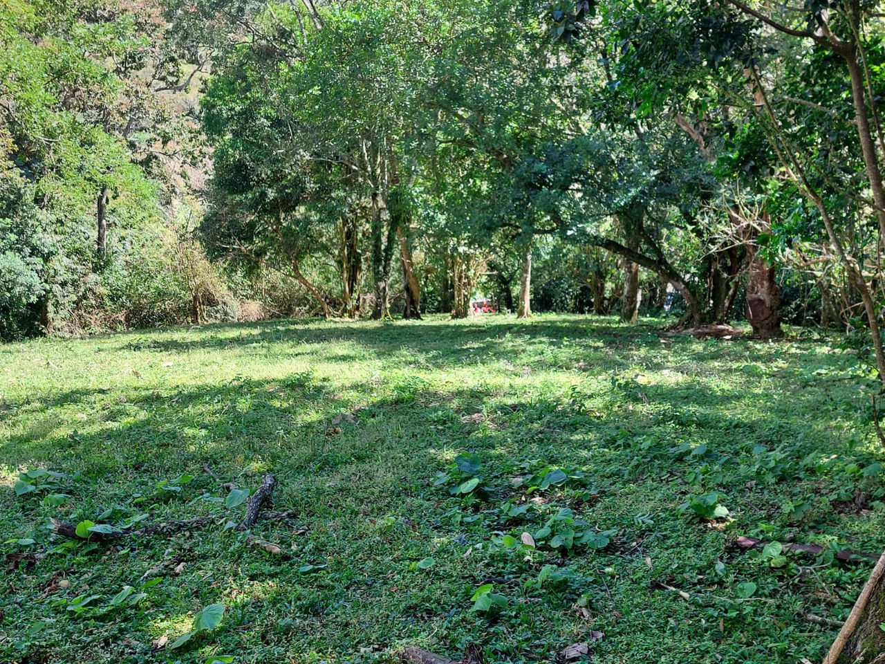LAGO AZUL: Lake View lot of just under 1 acre - Gallery image 10