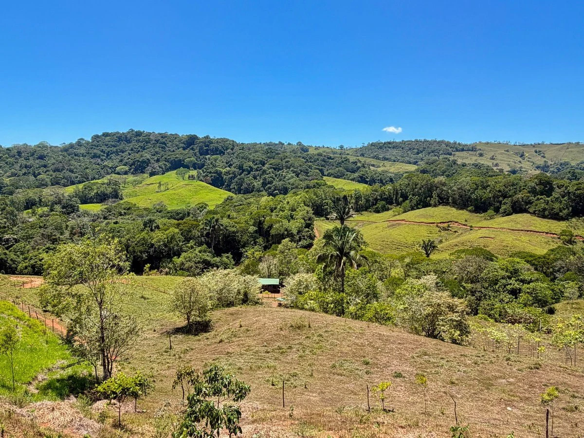 8.77 ACRES – Private Land Just 20 Min to Dominical, Beautiful Mountain Views, Legal Water, Electricity, Public Road, Private Setting, Ready to Build!!!! - Gallery image 20