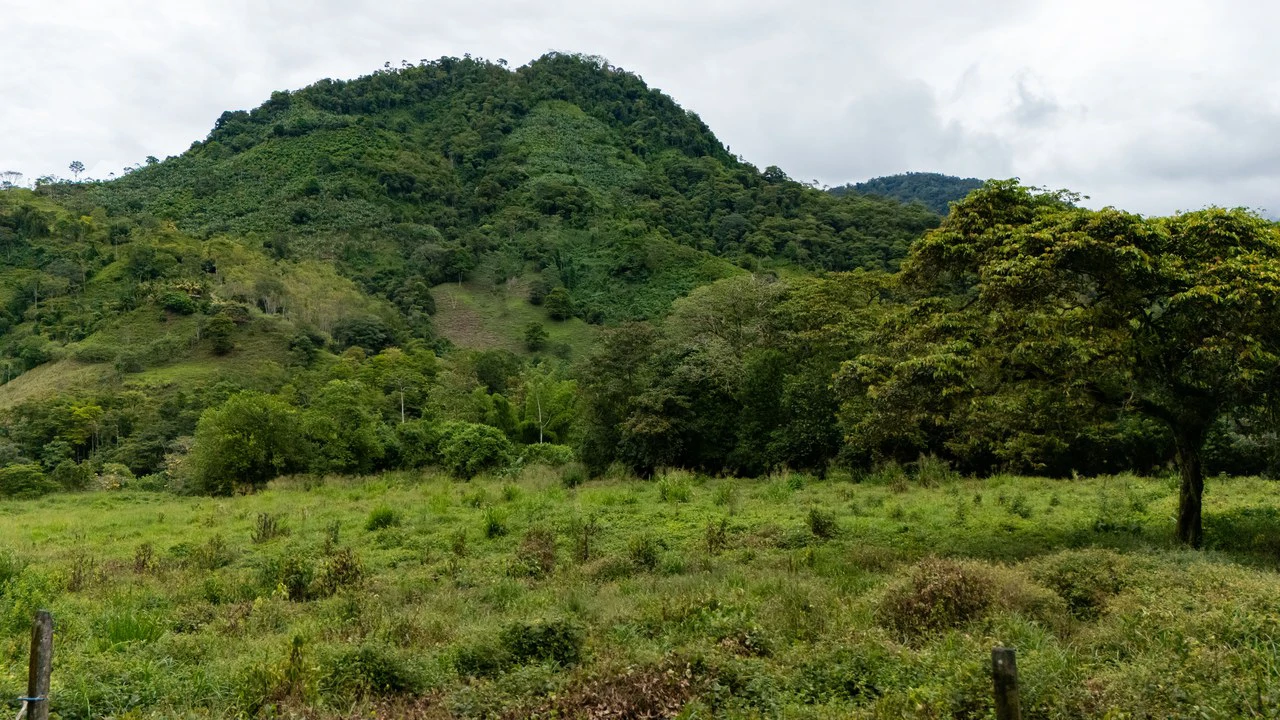 Mountain Home Construction Site For Sale in Río Nuevo - Gallery image 19