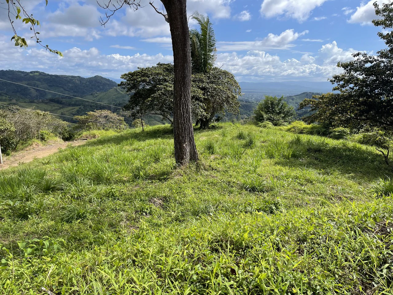 Sunset Ocean View Land with Cano Island Views: Home Construction Site For Sale in Ojochal - Gallery image 8