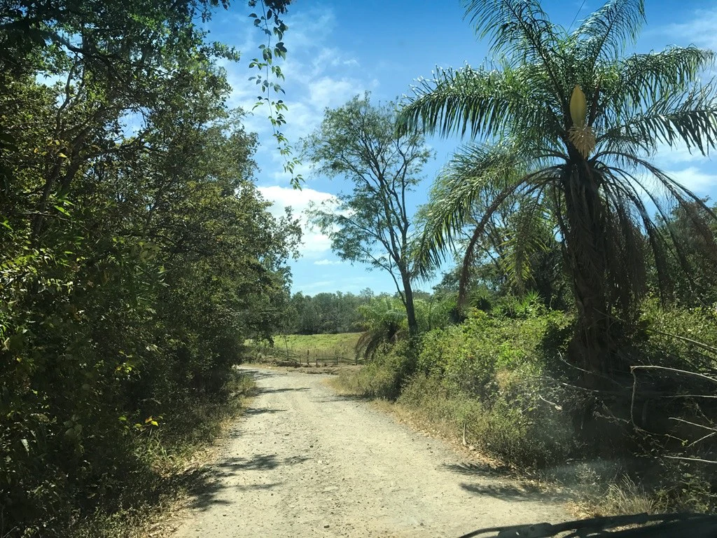 Huge farm for sale in Mogote de Bagaces, dream farm for horses or cows, 45 minutes away from Liberia - Gallery image 4