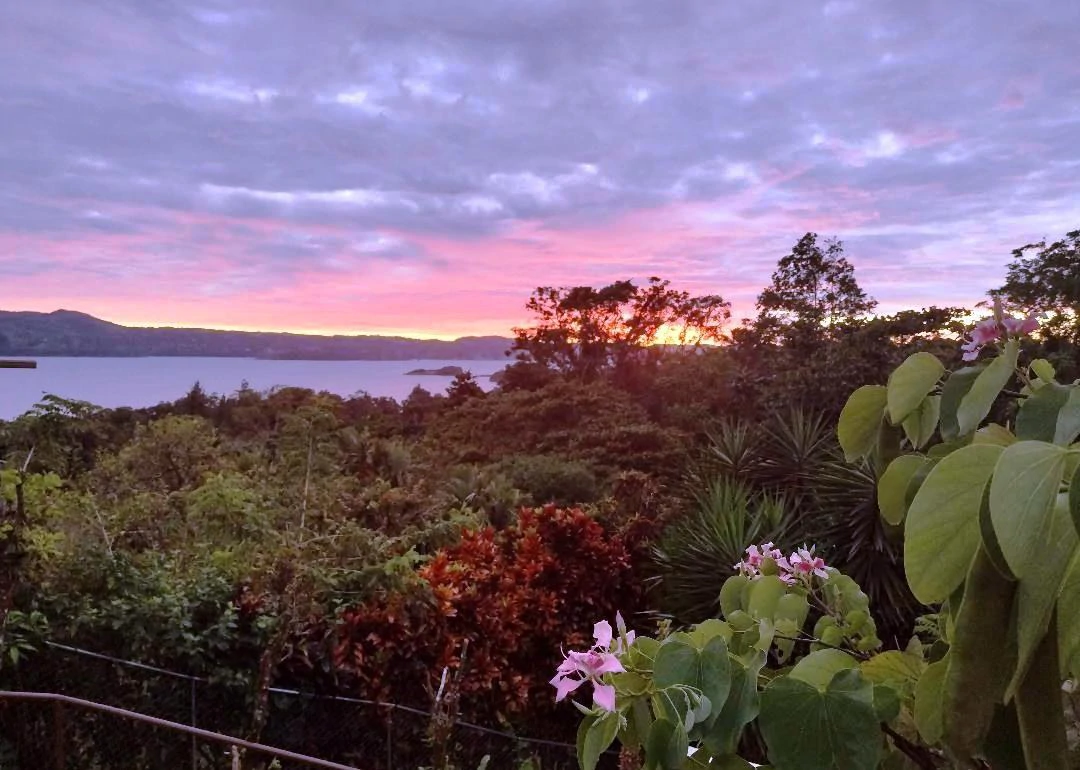 CASA  TROPICANA - Lake View Oasis Near Nuevo Arenal - Gallery image 43