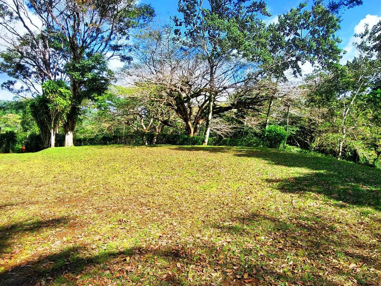 RAINBOW BAY - Beautiful 3.5 acre Lot in Gated Community - Gallery image 8