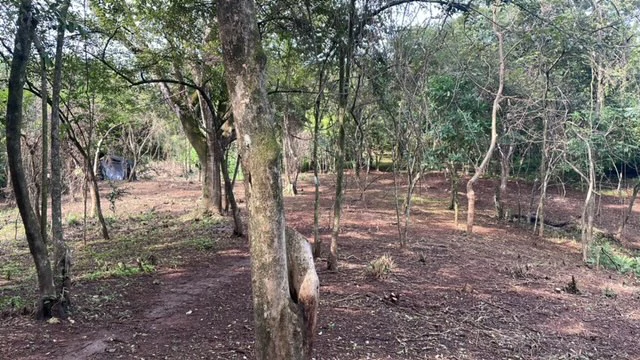 Beautiful Property for Sale in the Mountains of San Juanillo – Prime Land with Building Potential Just 10 Minutes from the Ocean - Gallery image 4