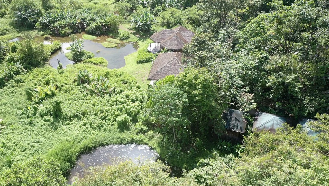 60 Acre Fully Sustainable and Impactful Conservation Initiative Near Golfito: Mountain Multi Unit Building For Sale in Golfito - Gallery image 20