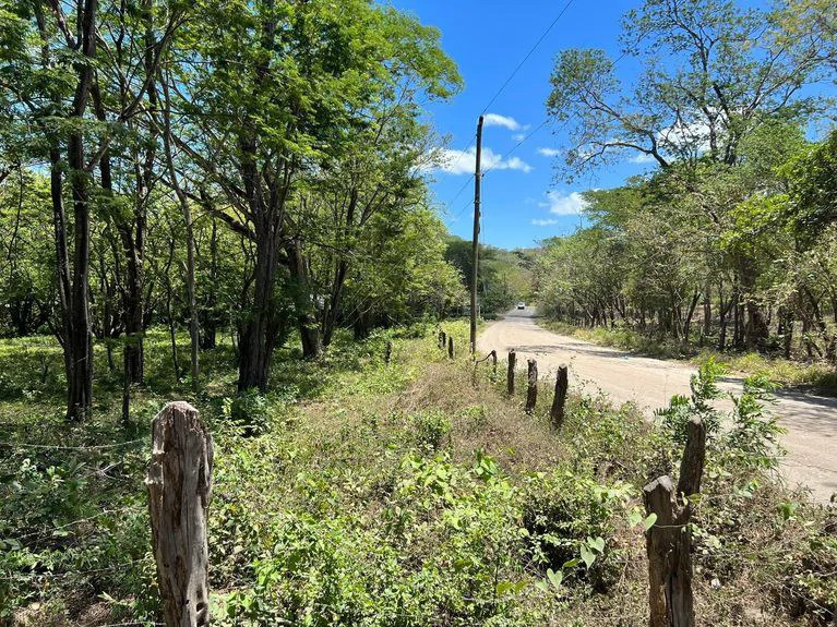 5.67 Hectares in Puerto Viejo: Prime Development Parcel Just 2 Mins from the Beach - Gallery image 5