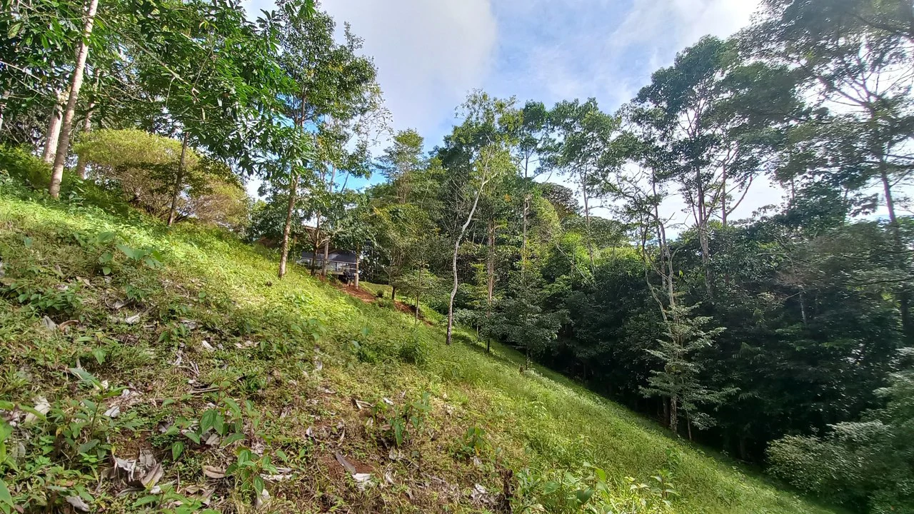 Home with Additional Building Areas and Creek on 3.5 Acres - Gallery image 54