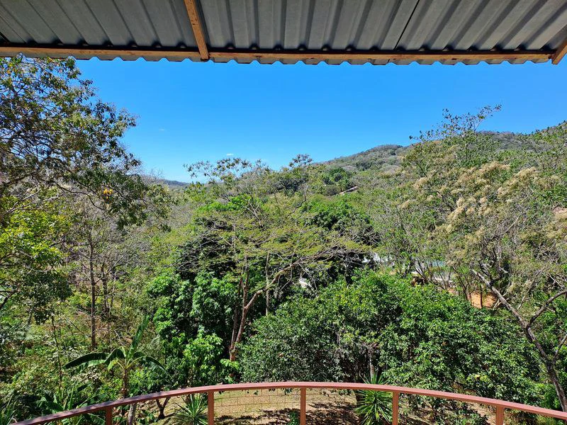 Finca El Colibri: Tropical Oasis of 7000 m2, nestled in nature, featuring 2 Homes & Caravan Studio, Near Carrillo & Samara Beaches - Gallery image 35