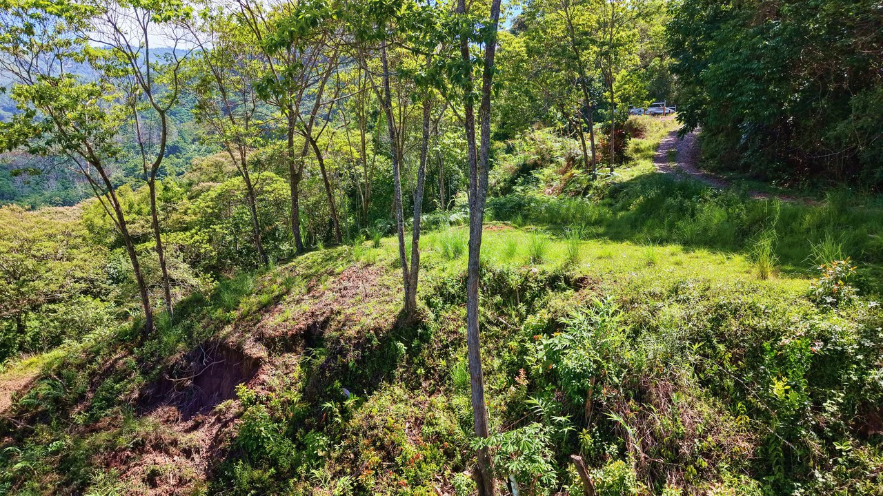 Mountain Home Construction Site For Sale in Guadalupe - Gallery image 6